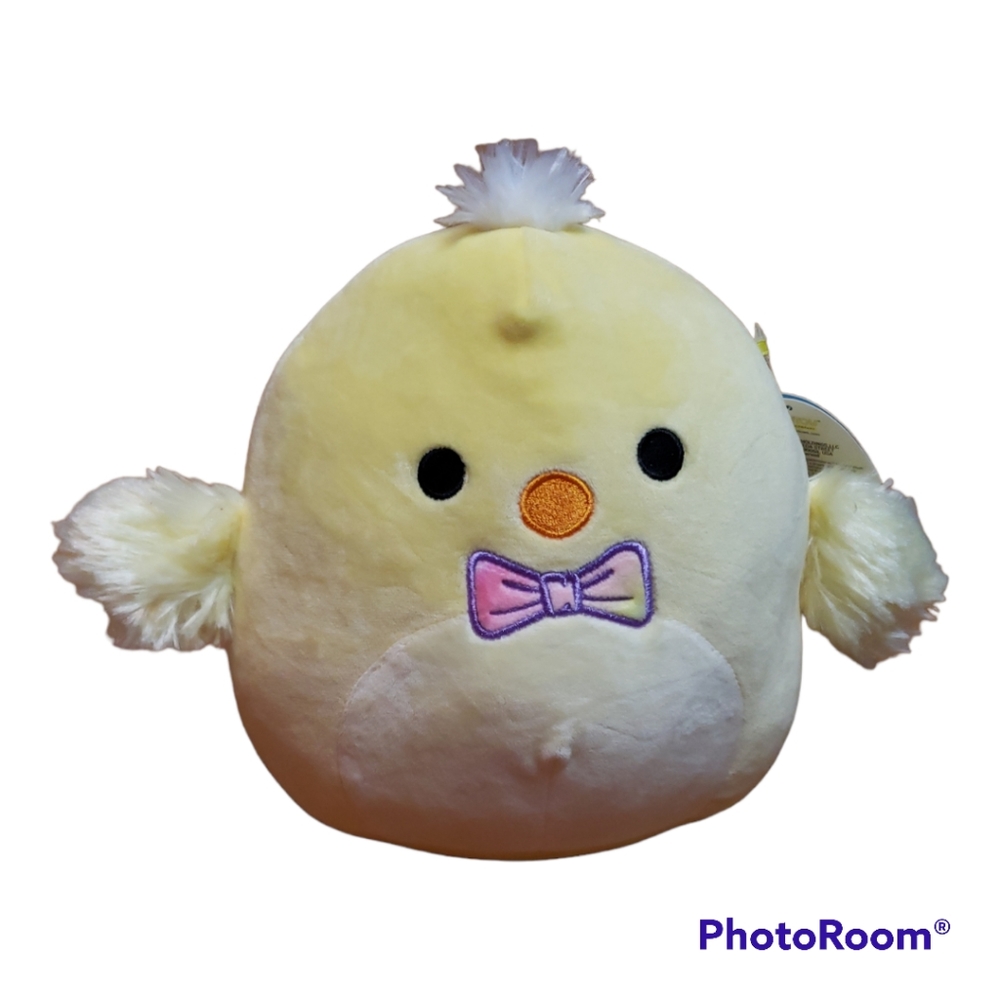 Tristan the Chick squishmallow ♡